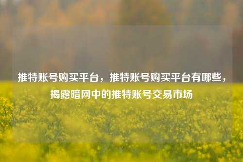 推特账号购买平台，推特账号购买平台有哪些，揭露暗网中的推特账号交易市场