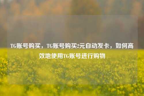 TG账号购买，TG账号购买2元自动发卡，如何高效地使用TG账号进行购物