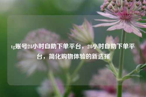 tg账号24小时自助下单平台，24小时自助下单平台，简化购物体验的新选择