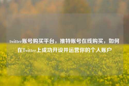twitter账号购买平台，推特账号在线购买，如何在Twitter上成功开设并运营你的个人账户