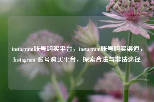 instagram账号购买平台，instagram账号购买渠道，Instagram 账号购买平台，探索合法与非法途径
