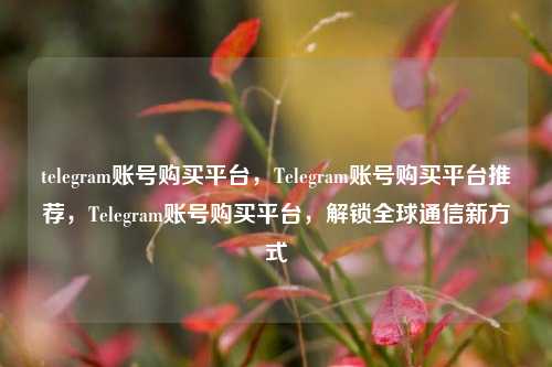 telegram账号购买平台，Telegram账号购买平台推荐，Telegram账号购买平台，解锁全球通信新方式