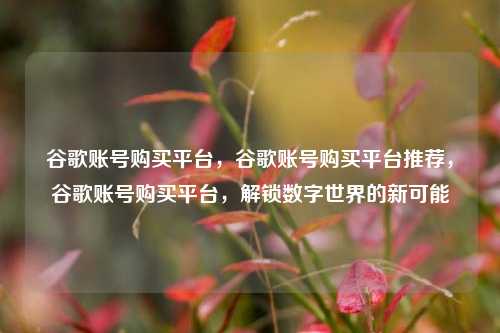 谷歌账号购买平台，谷歌账号购买平台推荐，谷歌账号购买平台，解锁数字世界的新可能