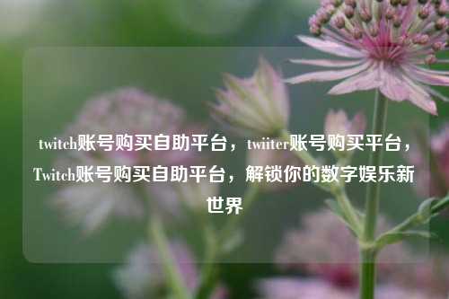 twitch账号购买自助平台，twiiter账号购买平台，Twitch账号购买自助平台，解锁你的数字娱乐新世界