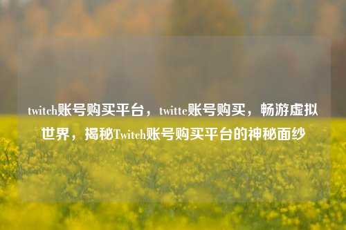 twitch账号购买平台，twitte账号购买，畅游虚拟世界，揭秘Twitch账号购买平台的神秘面纱