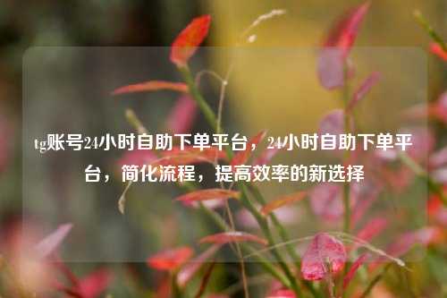 tg账号24小时自助下单平台，24小时自助下单平台	，简化流程，提高效率的新选择  第1张