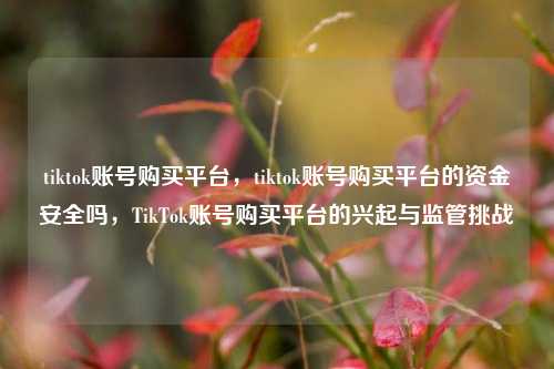 tiktok账号购买平台，tiktok账号购买平台的资金安全吗，TikTok账号购买平台的兴起与监管挑战