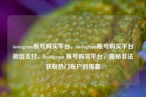 instagram账号购买平台，instagram账号购买平台微信支付，Instagram 账号购买平台，揭秘非法获取热门账户的黑幕