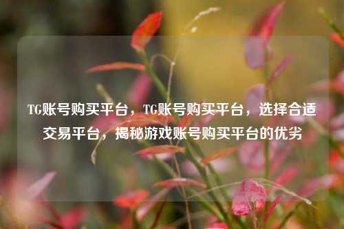 TG账号购买平台，TG账号购买平台，选择合适交易平台，揭秘游戏账号购买平台的优劣