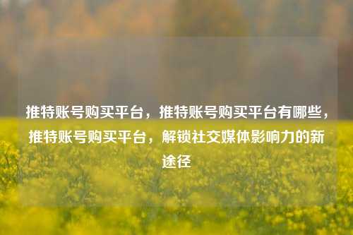 推特账号购买平台，推特账号购买平台有哪些，推特账号购买平台，解锁社交媒体影响力的新途径