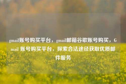 gmail账号购买平台，gmail邮箱谷歌账号购买，Gmail 账号购买平台，探索合法途径获取优质邮件服务