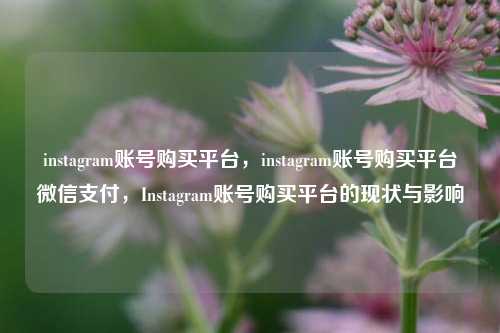 instagram账号购买平台，instagram账号购买平台微信支付，Instagram账号购买平台的现状与影响