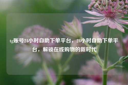 tg账号24小时自助下单平台，24小时自助下单平台，解锁在线购物的新时代