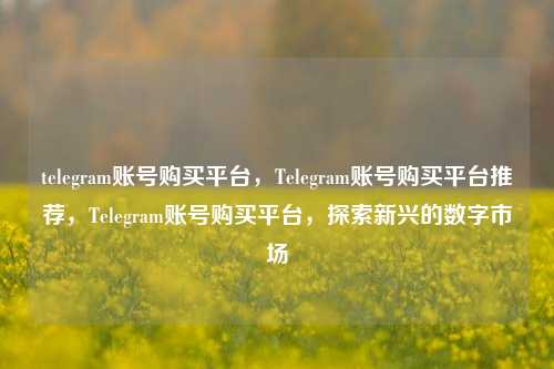 telegram账号购买平台，Telegram账号购买平台推荐，Telegram账号购买平台，探索新兴的数字市场