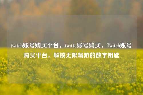 twitch账号购买平台，twitte账号购买，Twitch账号购买平台，解锁无限畅游的数字钥匙