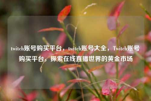 twitch账号购买平台，twitch账号大全，Twitch账号购买平台，探索在线直播世界的黄金市场