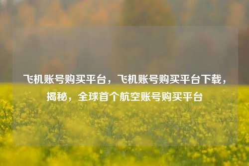飞机账号购买平台，飞机账号购买平台下载，揭秘，全球首个航空账号购买平台