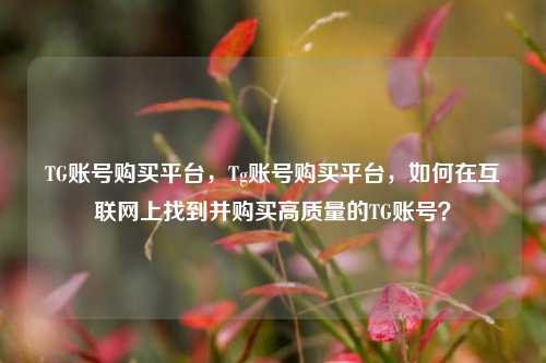 TG账号购买平台，Tg账号购买平台，如何在互联网上找到并购买高质量的TG账号？