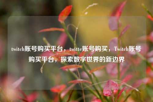 twitch账号购买平台	，twitte账号购买，Twitch账号购买平台，探索数字世界的新边界  第1张