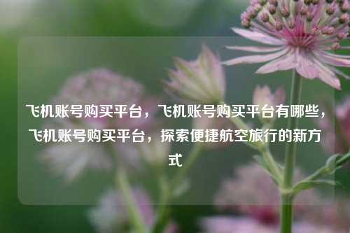 飞机账号购买平台，飞机账号购买平台有哪些，飞机账号购买平台，探索便捷航空旅行的新方式