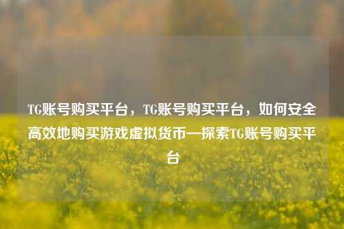 TG账号购买平台，TG账号购买平台，如何安全高效地购买游戏虚拟货币—探索TG账号购买平台