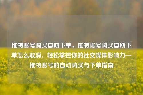 推特账号购买自助下单，推特账号购买自助下单怎么取消，轻松掌控你的社交媒体影响力—推特账号的自动购买与下单指南