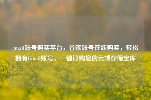 gmail账号购买平台，谷歌账号在线购买，轻松拥有Gmail账号，一键订购您的云端存储宝库