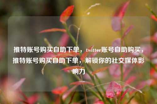 推特账号购买自助下单，twitter账号自助购买，推特账号购买自助下单，解锁你的社交媒体影响力