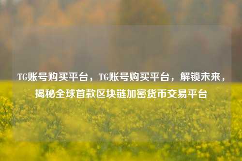 TG账号购买平台，TG账号购买平台，解锁未来	，揭秘全球首款区块链加密货币交易平台  第1张