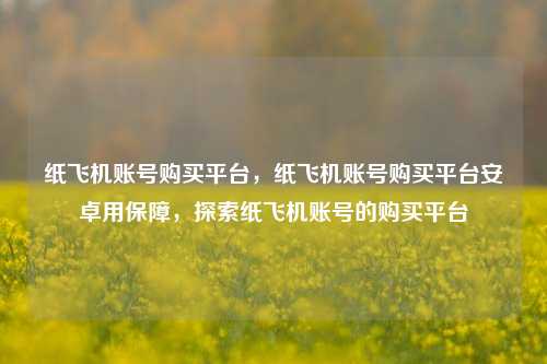 纸飞机账号购买平台，纸飞机账号购买平台安卓用保障，探索纸飞机账号的购买平台