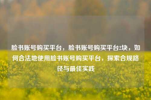 脸书账号购买平台，脸书账号购买平台2块，如何合法地使用脸书账号购买平台，探索合规路径与最佳实践