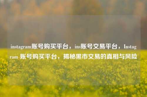 instagram账号购买平台，ins账号交易平台，Instagram 账号购买平台，揭秘黑市交易的真相与风险
