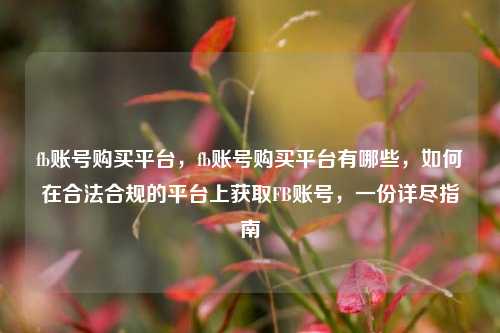 fb账号购买平台，fb账号购买平台有哪些，如何在合法合规的平台上获取FB账号，一份详尽指南
