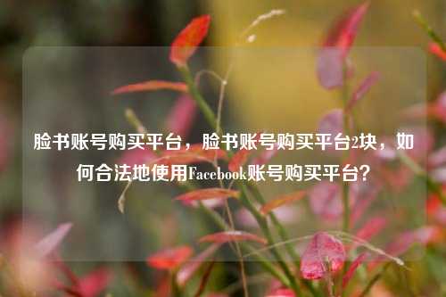 脸书账号购买平台，脸书账号购买平台2块，如何合法地使用Facebook账号购买平台？