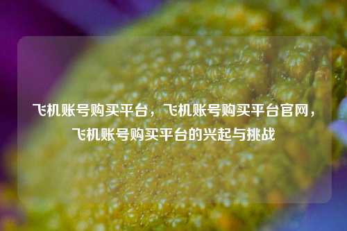 飞机账号购买平台，飞机账号购买平台官网，飞机账号购买平台的兴起与挑战
