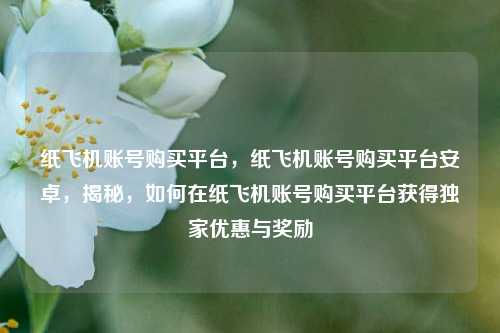 纸飞机账号购买平台，纸飞机账号购买平台安卓，揭秘，如何在纸飞机账号购买平台获得独家优惠与奖励