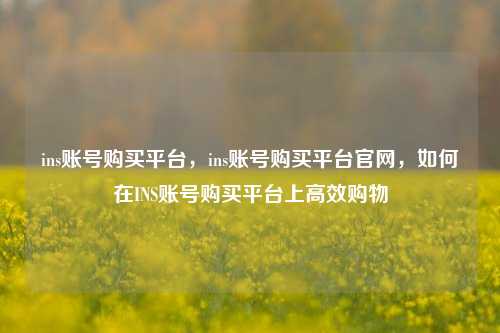ins账号购买平台，ins账号购买平台官网，如何在INS账号购买平台上高效购物