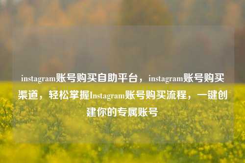 instagram账号购买自助平台，instagram账号购买渠道，轻松掌握Instagram账号购买流程，一键创建你的专属账号