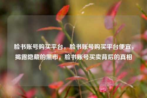 脸书账号购买平台，脸书账号购买平台便宜，揭露隐藏的黑市，脸书账号买卖背后的真相
