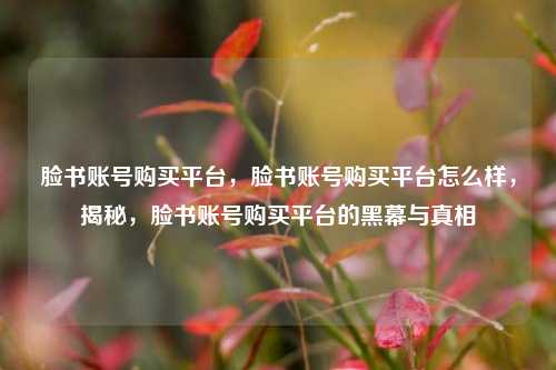 脸书账号购买平台，脸书账号购买平台怎么样，揭秘，脸书账号购买平台的黑幕与真相