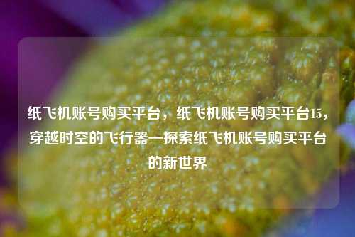 纸飞机账号购买平台，纸飞机账号购买平台15，穿越时空的飞行器—探索纸飞机账号购买平台的新世界