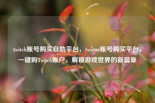 twitch账号购买自助平台，twiiter账号购买平台，一键购Twitch账户，解锁游戏世界的新篇章