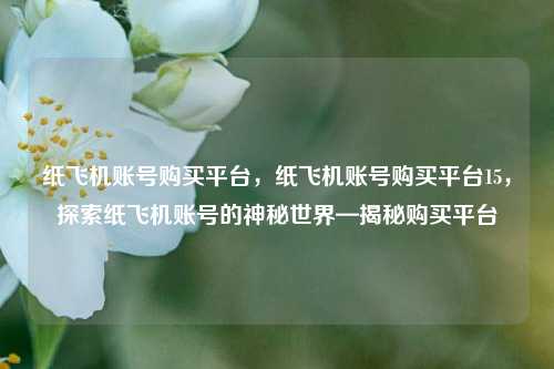 纸飞机账号购买平台，纸飞机账号购买平台15，探索纸飞机账号的神秘世界—揭秘购买平台