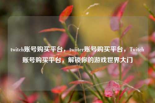 twitch账号购买平台，twiiter账号购买平台，Twitch账号购买平台，解锁你的游戏世界大门