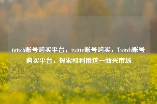 twitch账号购买平台，twitte账号购买，Twitch账号购买平台，探索和利用这一新兴市场