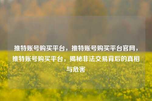 推特账号购买平台，推特账号购买平台官网，推特账号购买平台，揭秘非法交易背后的真相与危害