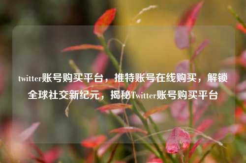 twitter账号购买平台，推特账号在线购买，解锁全球社交新纪元，揭秘Twitter账号购买平台