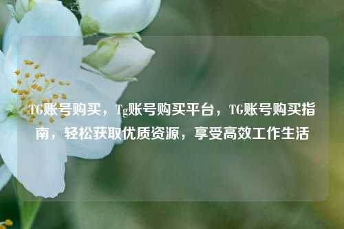 TG账号购买，Tg账号购买平台，TG账号购买指南，轻松获取优质资源，享受高效工作生活