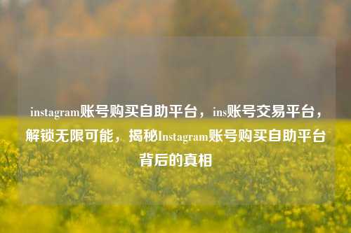 instagram账号购买自助平台，ins账号交易平台，解锁无限可能，揭秘Instagram账号购买自助平台背后的真相