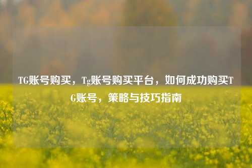 TG账号购买，Tg账号购买平台，如何成功购买TG账号，策略与技巧指南